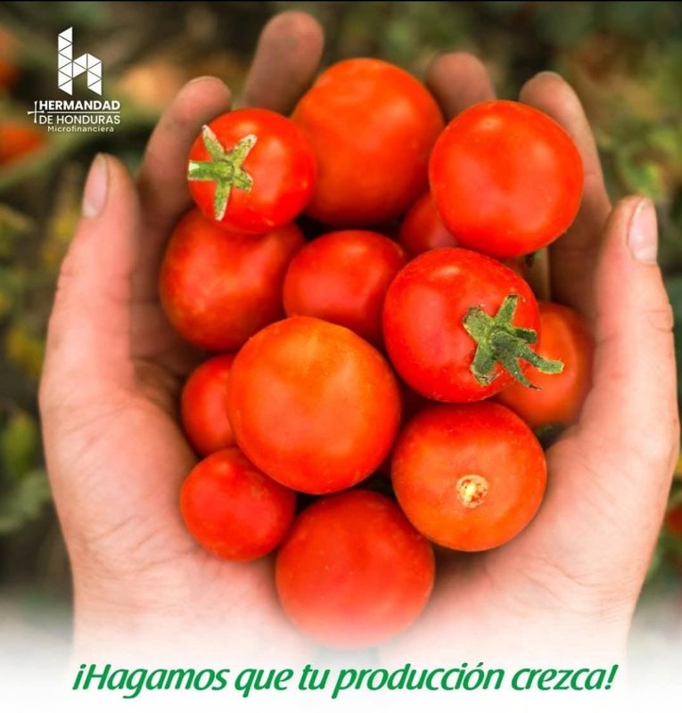Foto de AgroRinde