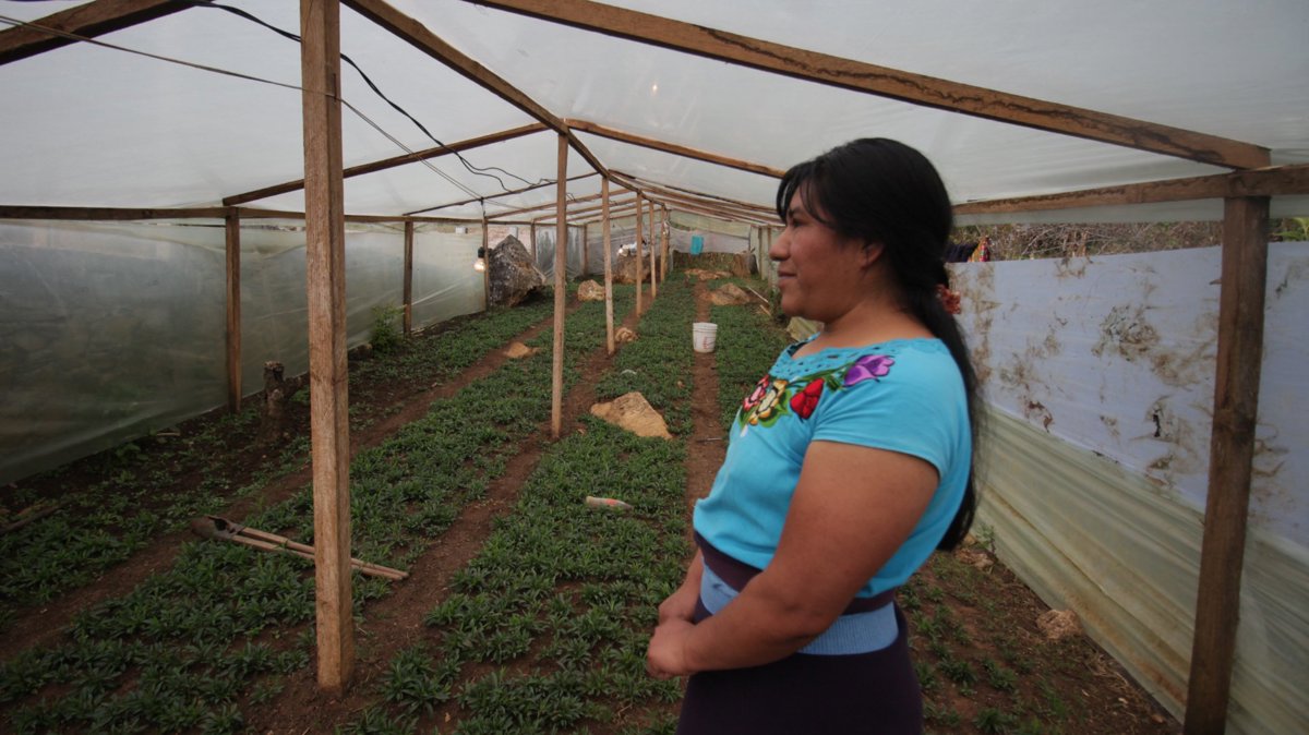 Foto de Crédito Agroclimático
